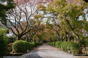 Saikyoji Temple, a famous Buddhist temple on Mount Hiei, Japan