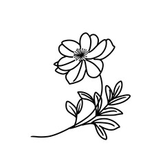 Hand drawn flower illustration