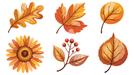 Fototapeta premium Autumnal Leaves and Sunflower Illustrations Oak Leaf, Maple, Birch, Berries, Flower on White