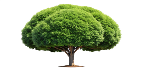 Close up of a medical diagnostic device with a digital screen and keypad on a white base