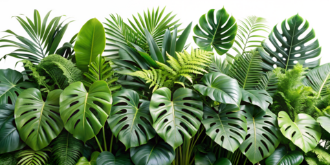 A detailed close up of a high quality compound microscope with dual eyepieces and a black background