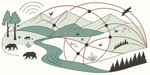 Understanding the Interconnectedness of Ecosystems and Wildlife Through Network Visualization