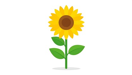Obraz premium Simple Sunflower Illustration, White Background