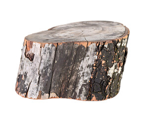 Wooden tree stump isolated on transparent background