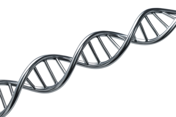 Metallic DNA Double Helix Structure Isolated on a Transparent Background