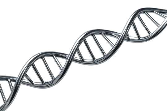 Metallic DNA Double Helix Structure Isolated on a Transparent Background
