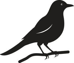 A black silhouette design of a songbird perched on branch icon isolated on white background. Vector illustration