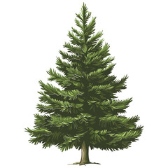 A classic evergreen pine tree illustration, symbolizing nature, growth, or the holiday season. Ideal for nature blogs or festive designs.