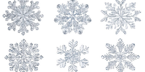 Fototapeta premium Six Clear Transparent Ice Snowflakes on a Black Background winter isolated on a transparent background