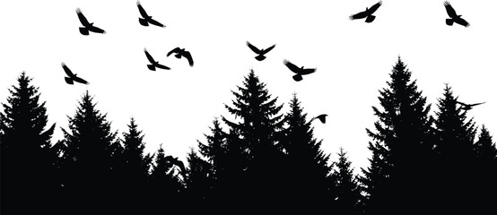 Forest silhouette with conifer trees, flying birds, nature scene, wildlife illustration, black contour, peaceful landscape, outdoor view, minimal design