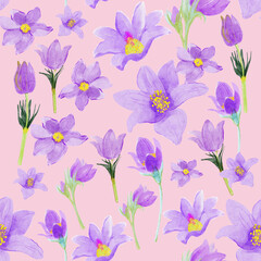 seamless floral pattern. purple crocus flowers on pink. Hand dran seamless pattern. 