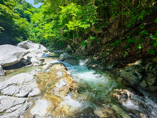 Obraz premium 尾白川渓谷