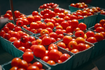 A bountiful collection of ripe tomatoes is captured in vivid detail. The tomatoes, varying in shades of red and with a few green accents, are piled closely together. 