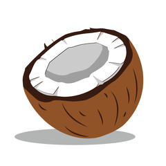 Half and piece of natural fresh coconut isolated on white background.vector illustration of coconut,