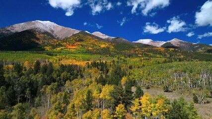 Mount Shavano Tabeguache Peak Colligate Swatch Range Salida Buena Vista aerial drone Colorado fall autumn Aspen Trees color yellow orange morning sun blue sky San Isabel National Forest upwards motion - Powered by Adobe