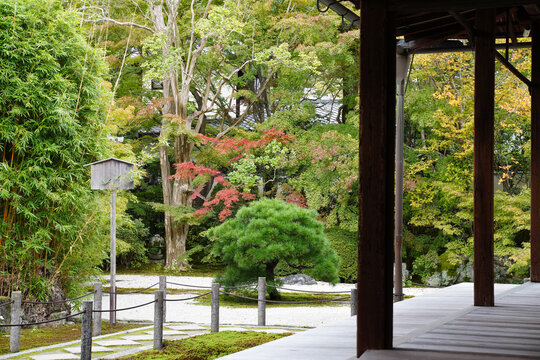 秋の気配が感じられる京都の寺院の庭園