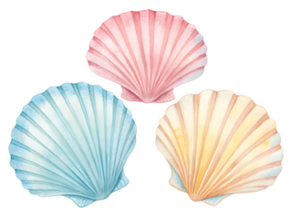 Three pastel colored scallop seashells arranged in a triangle against a black background