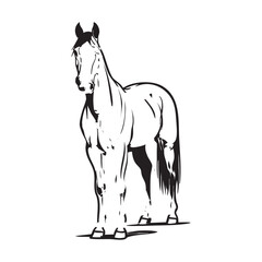 Horse vector illustration: black and white horse graphic, animal clip art eps silhouette