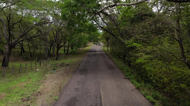 paisaje de un camino o carretera de terraceria o pavimento entre los arboles camino rural entre la naturaleza hermoso camino de campo al aire libre entre el bosque 