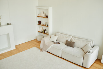 Empty modern living room featuring beige sofa with decorative pillows and throw blanket, wooden floor, carpet, built-in shelving unit with minimalist decor, no people visible