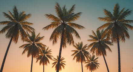 Row of tall coconut palm trees against blue sky