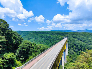 八ヶ岳高原大橋 © Mugi