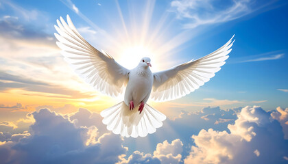 Obraz premium A symbol of peace and hope, a white dove soars through a sunlit sky with outstretched wings