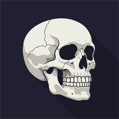 Obraz premium Cartoon Halloween skull icon vector. Creepy skeleton head design for spooky party invitations, posters, trick-or-treat graphics, and horror-themed artwork.