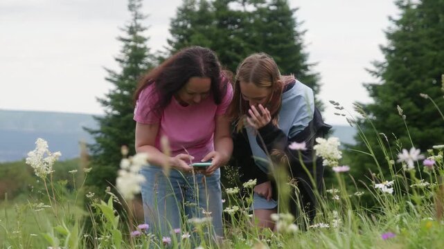 Happy mother and teenage daughter using a smartphone app to identify wildflowers in a mountain meadow, promoting family bonding and nature appreciation