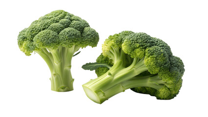 Two fresh broccoli florets isolated on transparent background