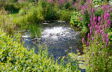 Pond with a fountain in the middle