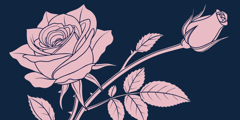 Vector illustration of Blossoming Pink Rose Isolated on dark background.