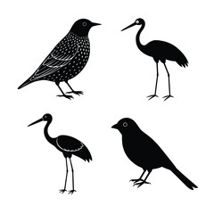 bird silhouette, flying bird silhouette, perched bird silhouette, small bird silhouette, tropical bird silhouette
