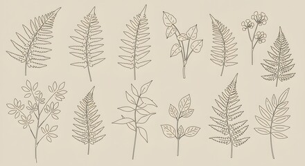 Line drawing A collection of diverse leaves and ferns rendered in black outlines against a light beige backdrop