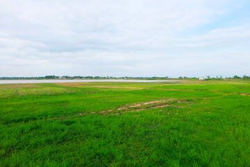 green grass and blue sky