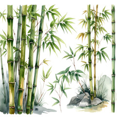 Zen-inspired green bamboo stalks and leaves create a serene forest background for a peaceful, natural design