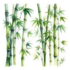 Obraz premium Zen-inspired green bamboo stalks and leaves create a serene forest background for a peaceful, natural design
