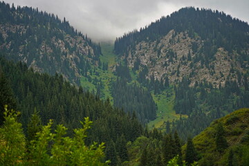 National Nature Park. Mountainous area with different vegetation.  Cloudy, raining.