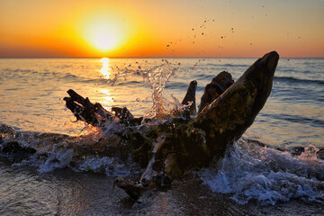 Korzeń. Morze bałtyckie. Zachód słońca. Woda © Bluku