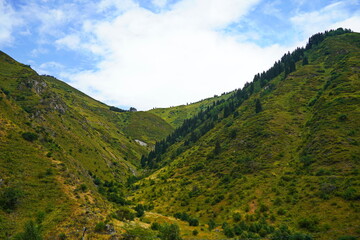 Naklejka premium National Nature Park. Mountainous area with different vegetation. Cloudy, raining.