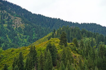 National Nature Park. Mountainous area with different vegetation.  Cloudy, raining.