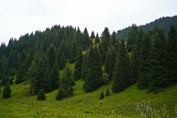 National Nature Park. Mountainous area with different vegetation.  Cloudy, raining.