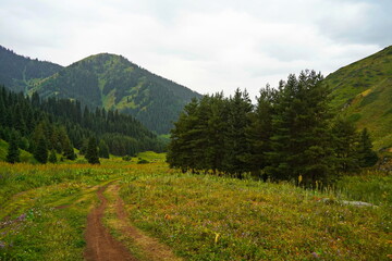 Obraz premium National Nature Park. Mountainous area with different vegetation. Cloudy, raining.