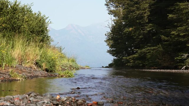 Static view of Malleo River beginning at Lake Tromen surrounded by forest and rocky shoreline in Northern Neuquen. Lanin National Park, Argentina.