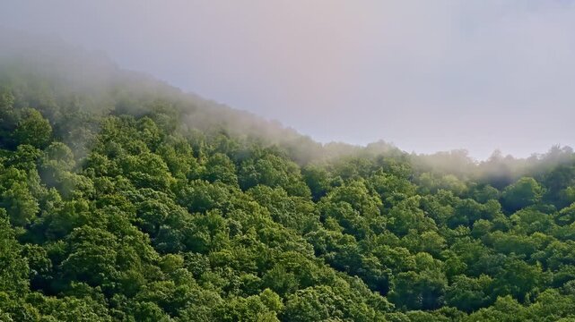 Drone flying gracefully into the mist covering the Smoky Mountains.