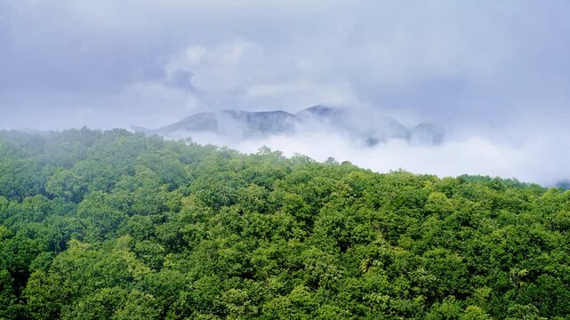 Aerial drone captures the Smokies melting into fog.