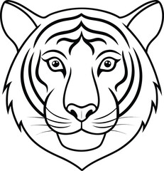 tiger vector illustration