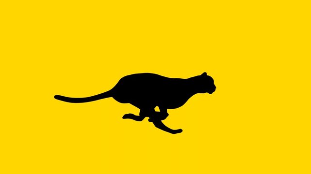 Animation with a cheetah running on the yellow background (seamless loop)