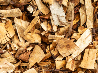 Natural Wood Chips and Bark Texture Background