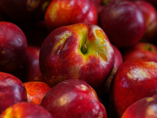 fresh organic nectarines at market